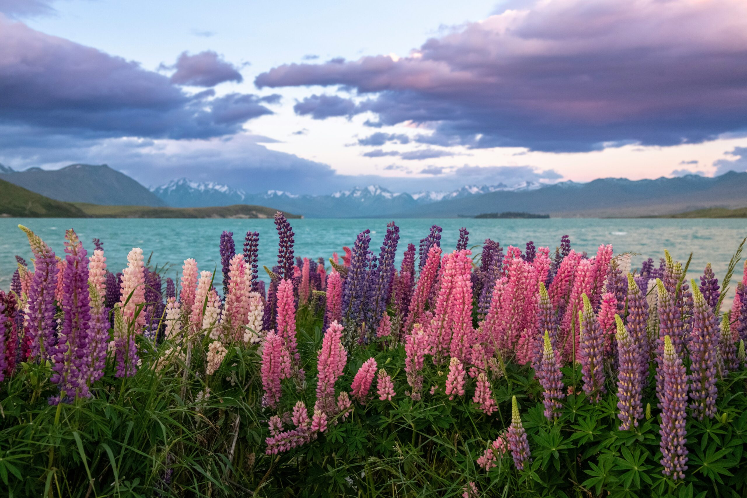 https://vallestour.com/wp-content/uploads/2026/05/hari-nandakumar-hh9OkRFj-Pw-unsplash-scaled.jpg