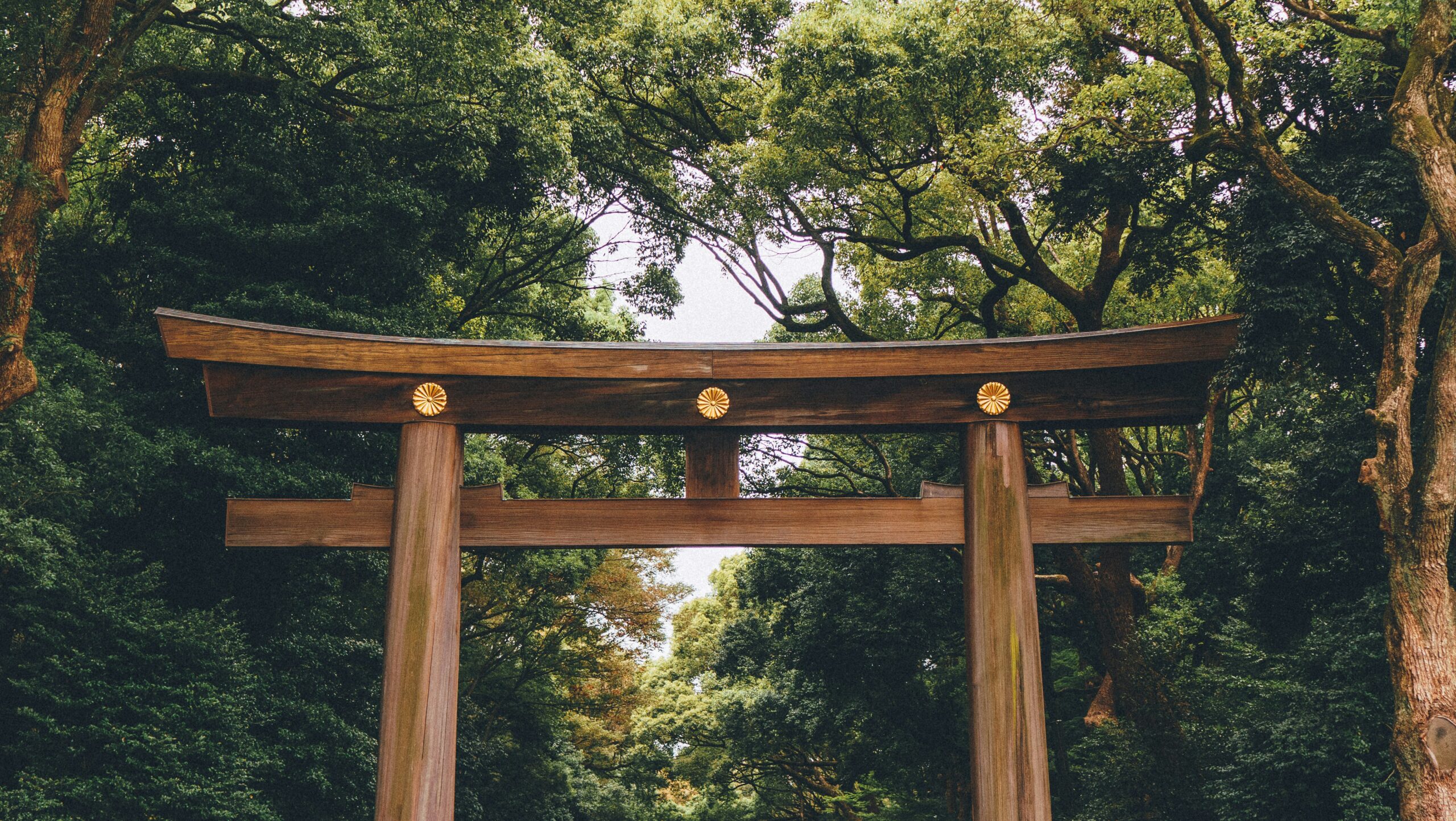 https://vallestour.com/wp-content/uploads/2026/05/moiz-k-malik-68aXi4RVhMQ-unsplash-scaled.jpg